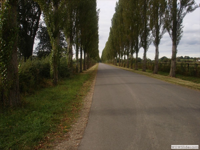 Fabulous quiet roads