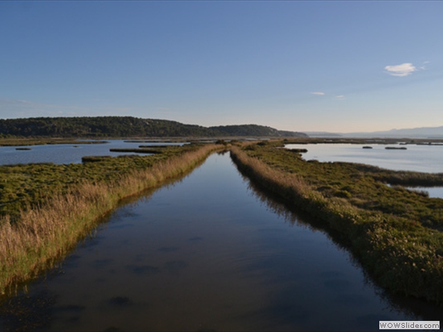 The hard to navigate marshlands