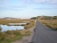 Road through the marshland
