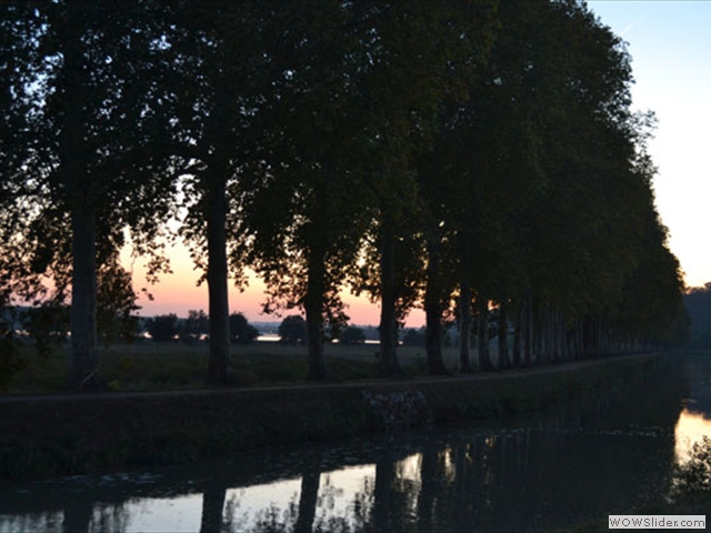 Sunset on the Canal is dinner time for mosquitoes